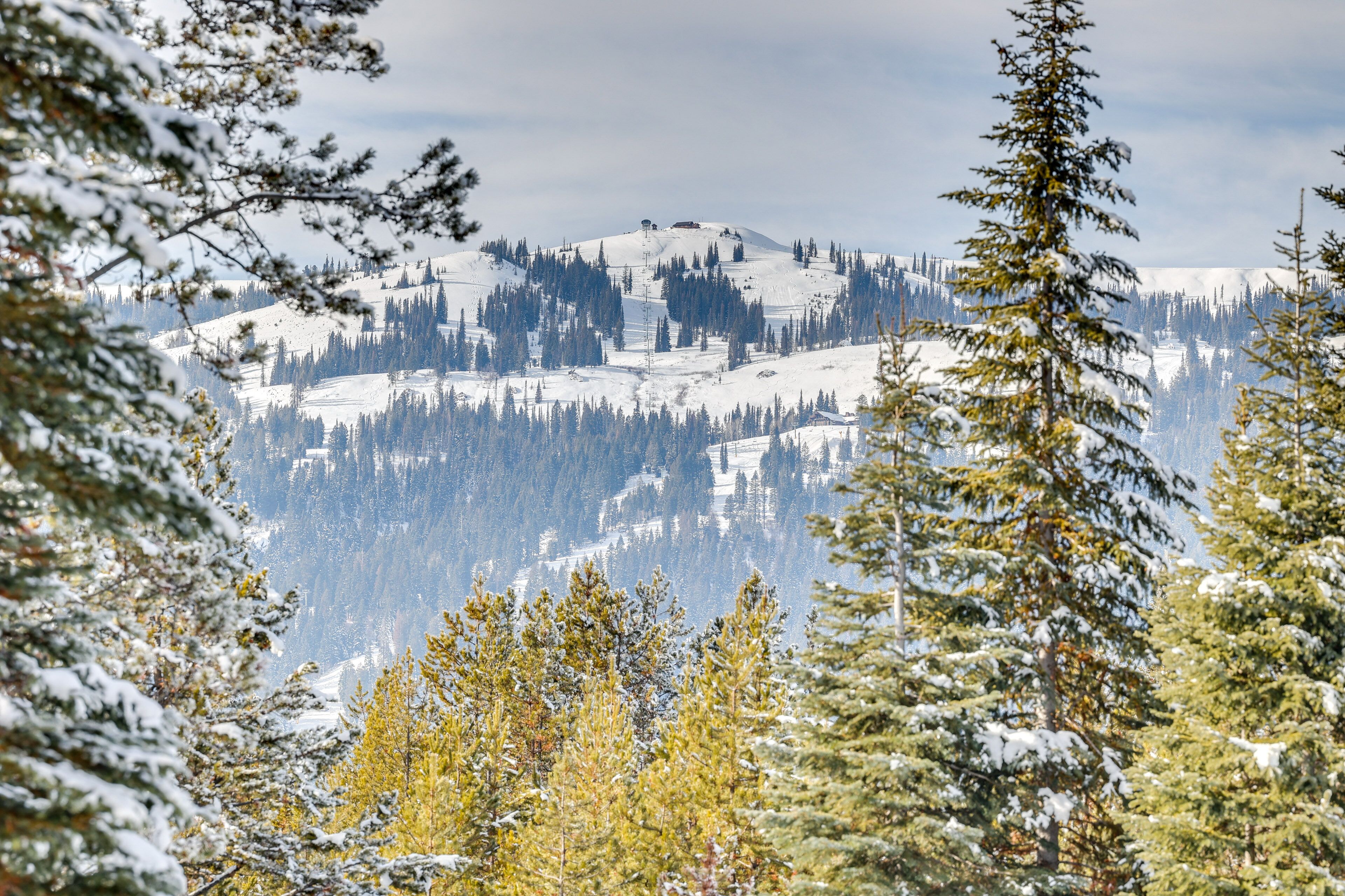 Un paisaje montañoso nevado con bosques densos y un cielo despejado.