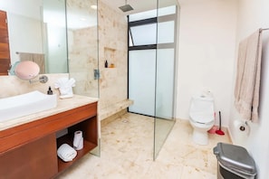 A modern bathroom with a glass shower enclosure, a white sink, and a toilet.