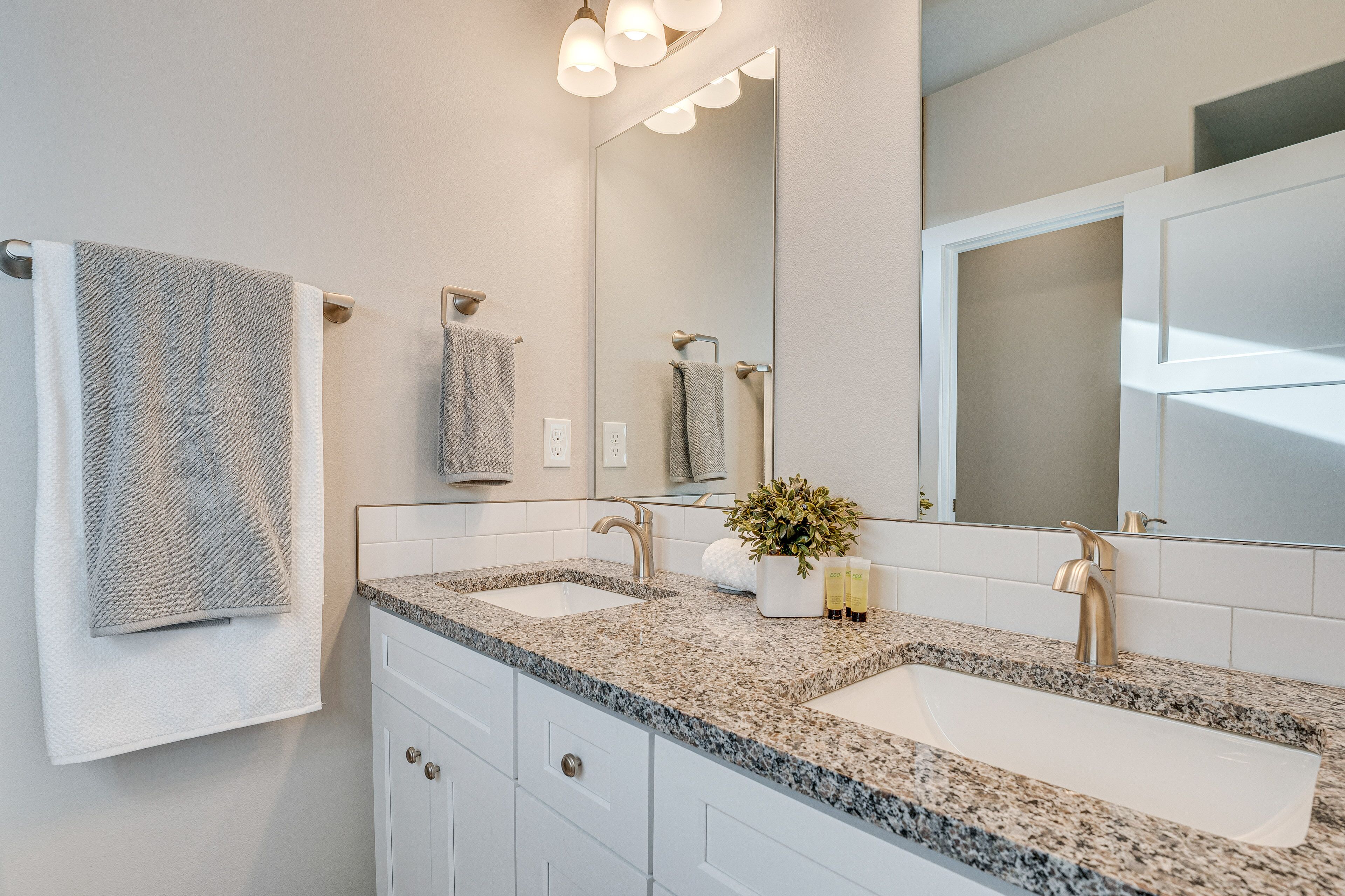 A bathroom with two sinks, a large mirror, and a potted plant on the countertop.