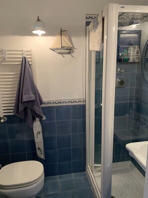 Hair dryer, bidet, towels, toilet paper