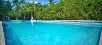 4720 NW 16th Pl · Rare & Spacious Oasis w/Pool