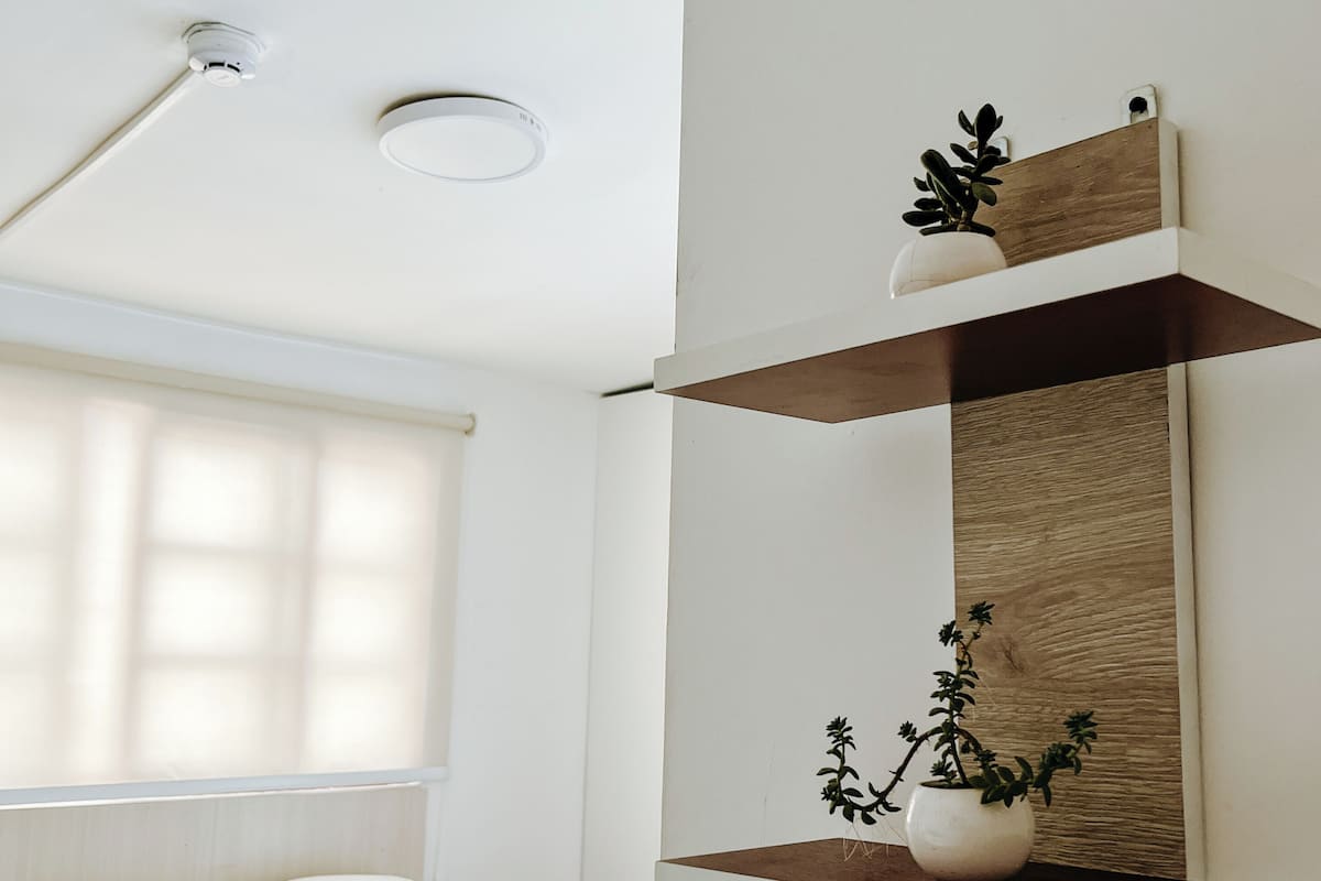 Une chambre d’hôtel avec un lit, une table de chevet sur laquelle se trouve un panier contenant des articles de toilette, une étagère fixée au mur avec une plante, et un luminaire au plafond.
