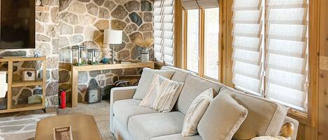 電視、壁爐、DVD 播放機、書籍