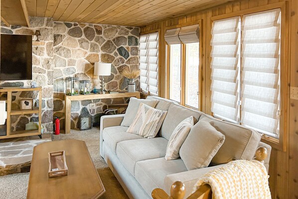 Télévision, cheminée, lecteur de DVD, livres