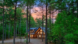 A cabin surrounded by tall pine trees with a gravel path leading to it.