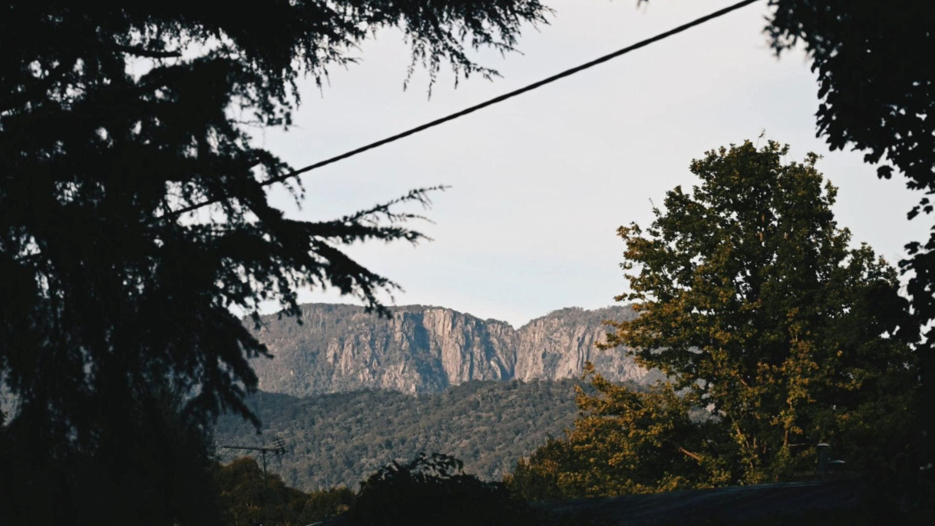 A mountainous landscape with dense forest and a power line in the foreground.