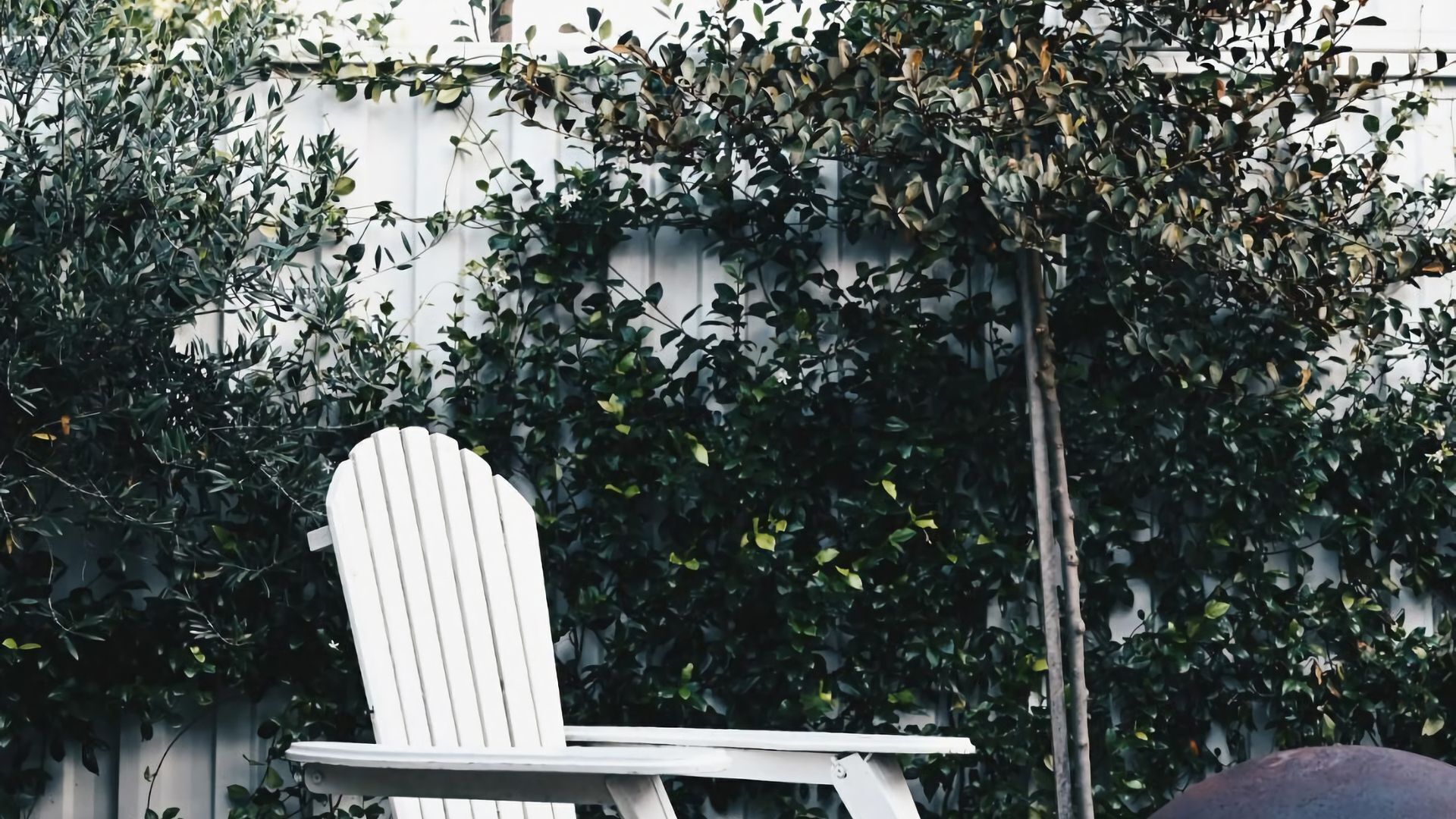 A white chair with a backrest, positioned in front of a wall covered with dense foliage.