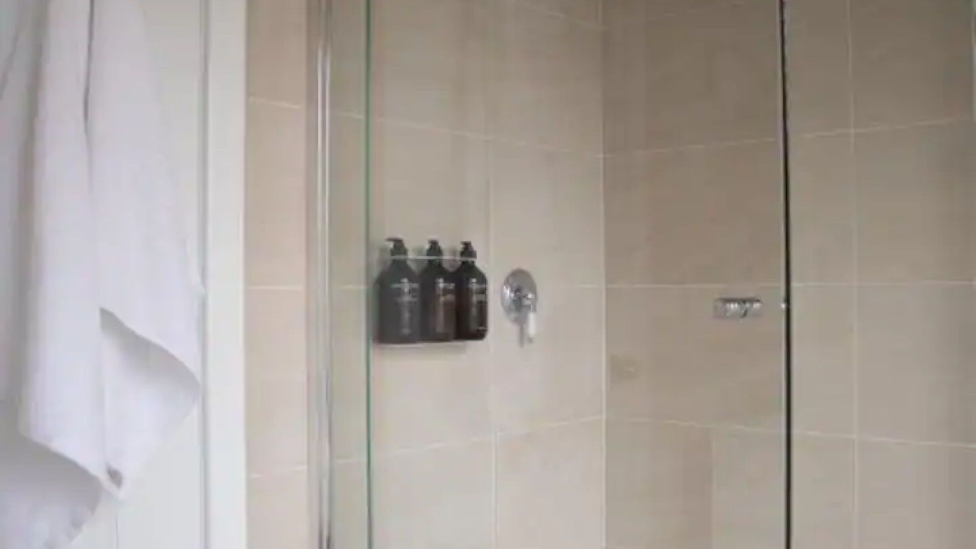 A bathroom with a glass shower enclosure, a towel rack, and a set of toiletries.