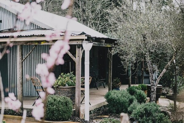 Property grounds - La Baracca - Reconnect with the simple pleasures of life. (Wandiligong)