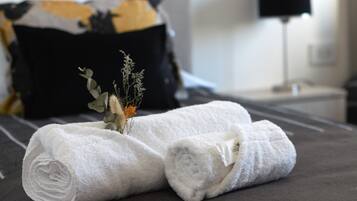 2 chambres, fer et planche à repasser, Wi-Fi, draps fournis