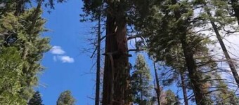 Isaaks Trails End Cabin Retreat in Pine Flat
