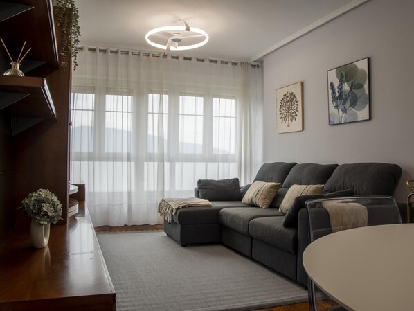 TV, books - Spectacular views of the bay in Getxo (Getxo)