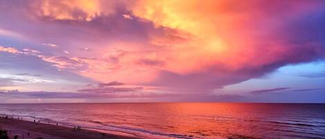 على الشاطئ، كراسي للتشمس، مناشف للشاطئ