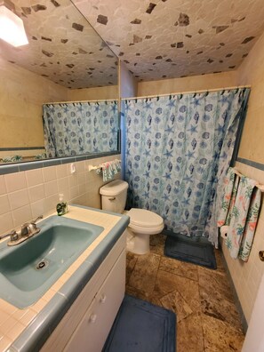 淋浴设施、吹风机、毛巾、肥皂