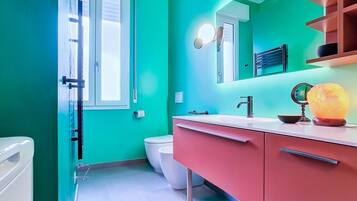 Shower, hair dryer, bidet, towels