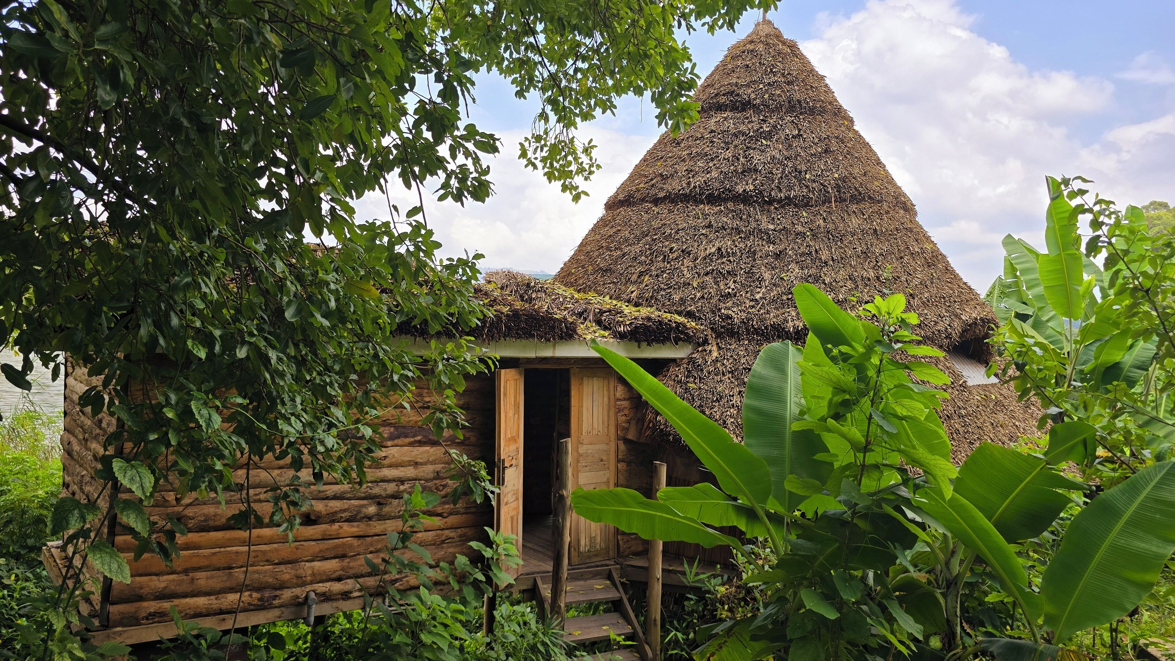 A traditional thatched-roof hut with a wooden door and a wooden staircase leading up to it, surrounded by lush greenery.