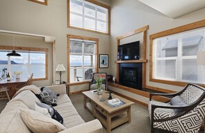 TV, fireplace, books