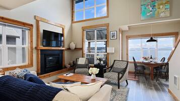 TV, fireplace, books