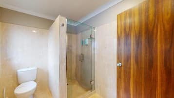 A bathroom with a glass-enclosed shower, a toilet, and a wooden door.