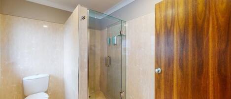 A bathroom with a glass-enclosed shower, a toilet, and a wooden door.