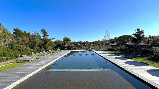 A long swimming pool with lounge chairs and umbrellas on both sides, surrounded by greenery and trees.