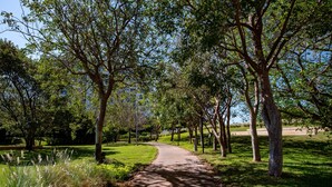 Een geplaveid pad in een park, omzoomd door bomen.