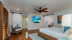 A bedroom with a bed, a television, a ceiling fan, and a bookshelf.