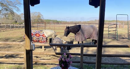Zeke’s House: Bed and Barn Bliss