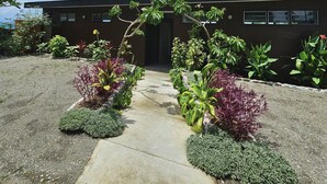 A building with a concrete pathway leading to the entrance, surrounded by various plants and shrubs. - Sanalae Apartments (Honiara)