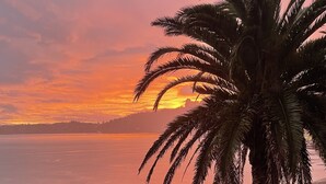 A sunset view with a palm tree and a body of water.