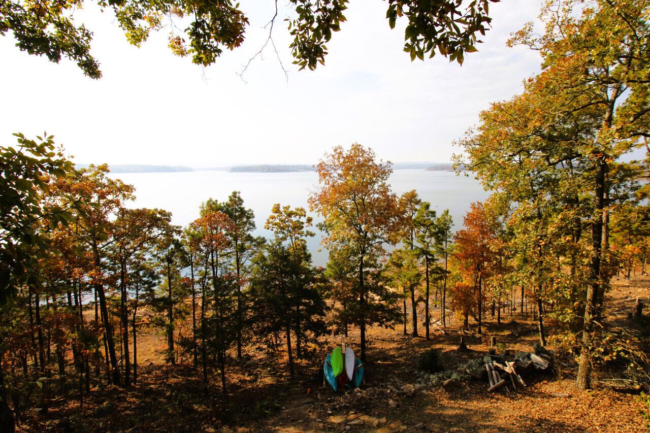 A forested area with a view of a body of water.