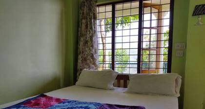 Green Paradise Room-1