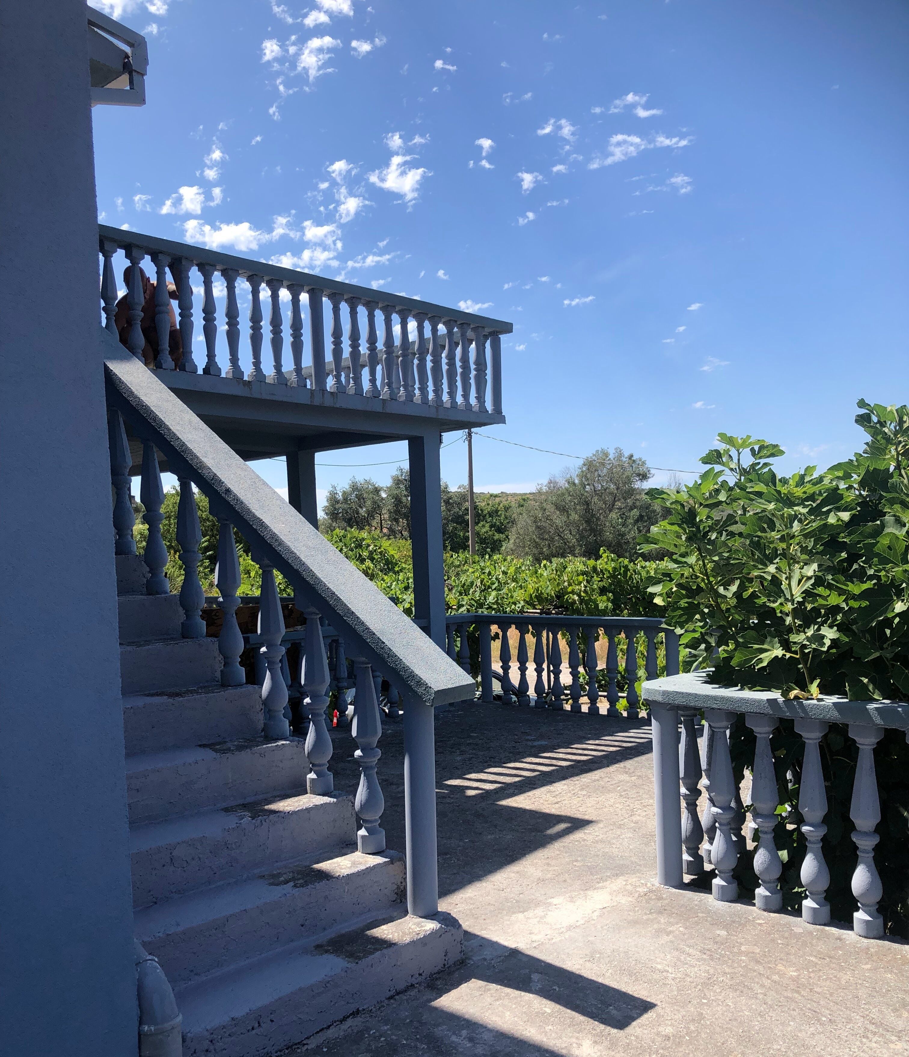 Un escalier avec des balustrades menant à une zone abritée, entourée de verdure et sous un ciel dégagé.
