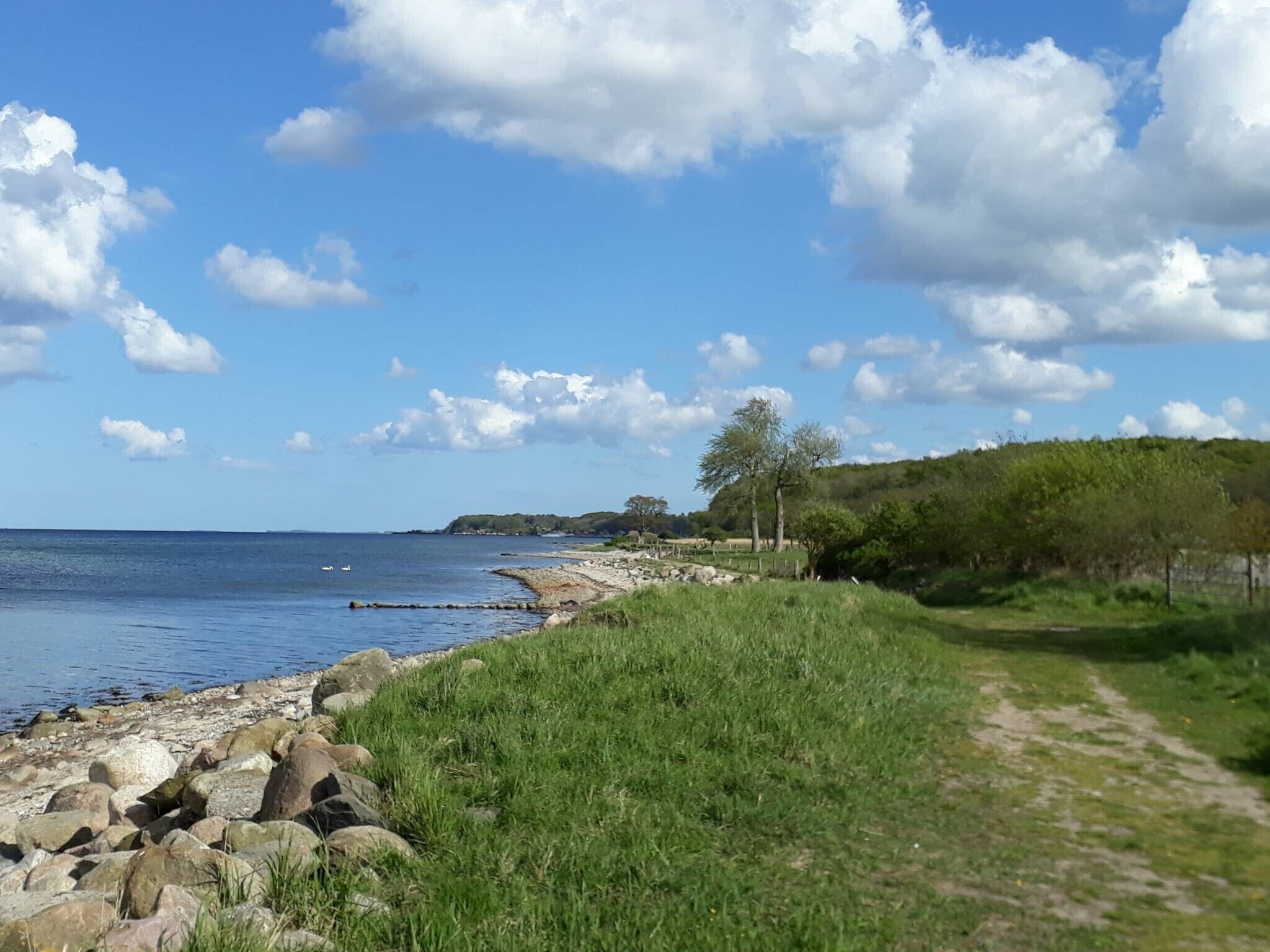 A coastal landscape with a rocky shoreline, a grassy path, and a clear sky.