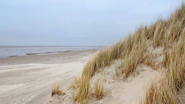 A beach with sand dunes and a calm sea.
