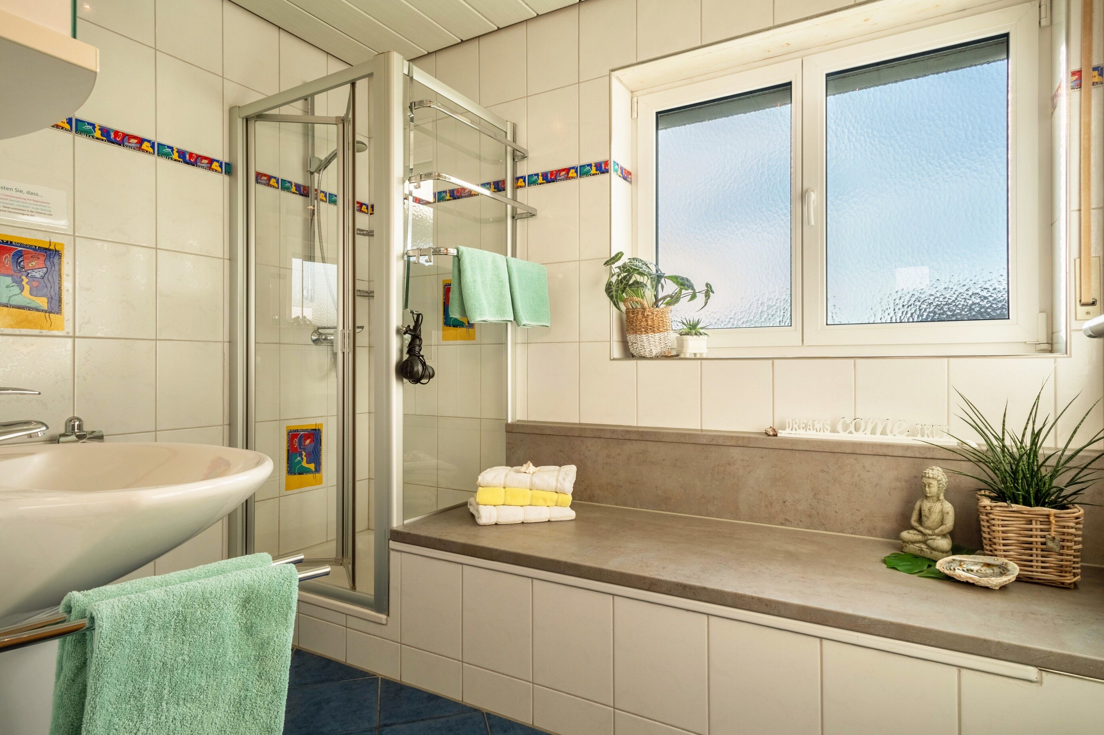 Shower, hair dryer, towels