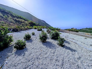 施設の敷地