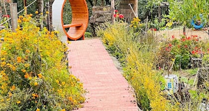 Limboo Homestay: tranquil stay amidst lush greenery