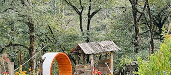 Limboo Homestay: tranquil stay amidst lush greenery