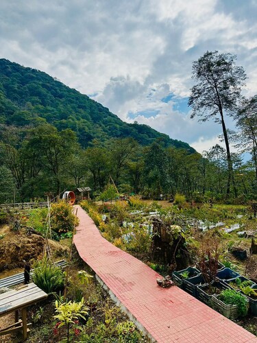 Limboo Homestay: tranquil stay amidst lush greenery