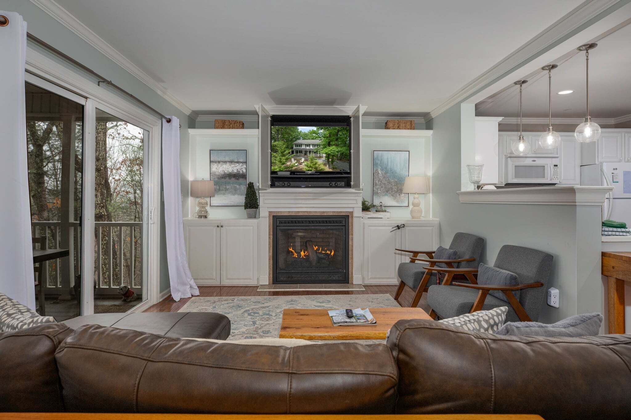 TV, fireplace, DVD player, books