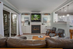 Fernseher, Kamin, DVD-Player, BĂŒcher