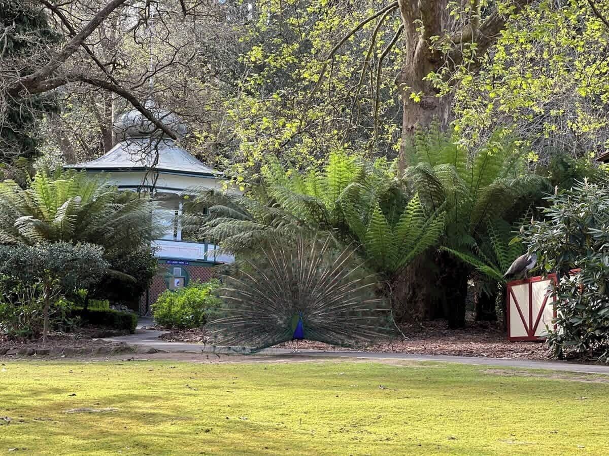 Terrein van de accommodatie