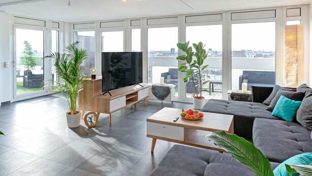 A modern living room with a large flat-screen TV, a grey sofa, a coffee table, and a potted plant.