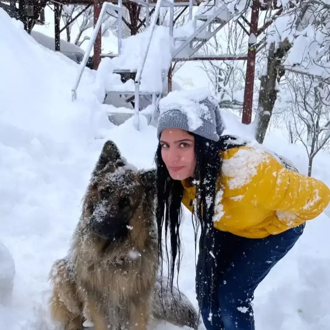 A person in a yellow jacket and blue pants bending over a dog in a snowy outdoor setting.