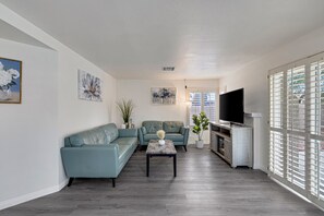 Smart-TV, Kamin
