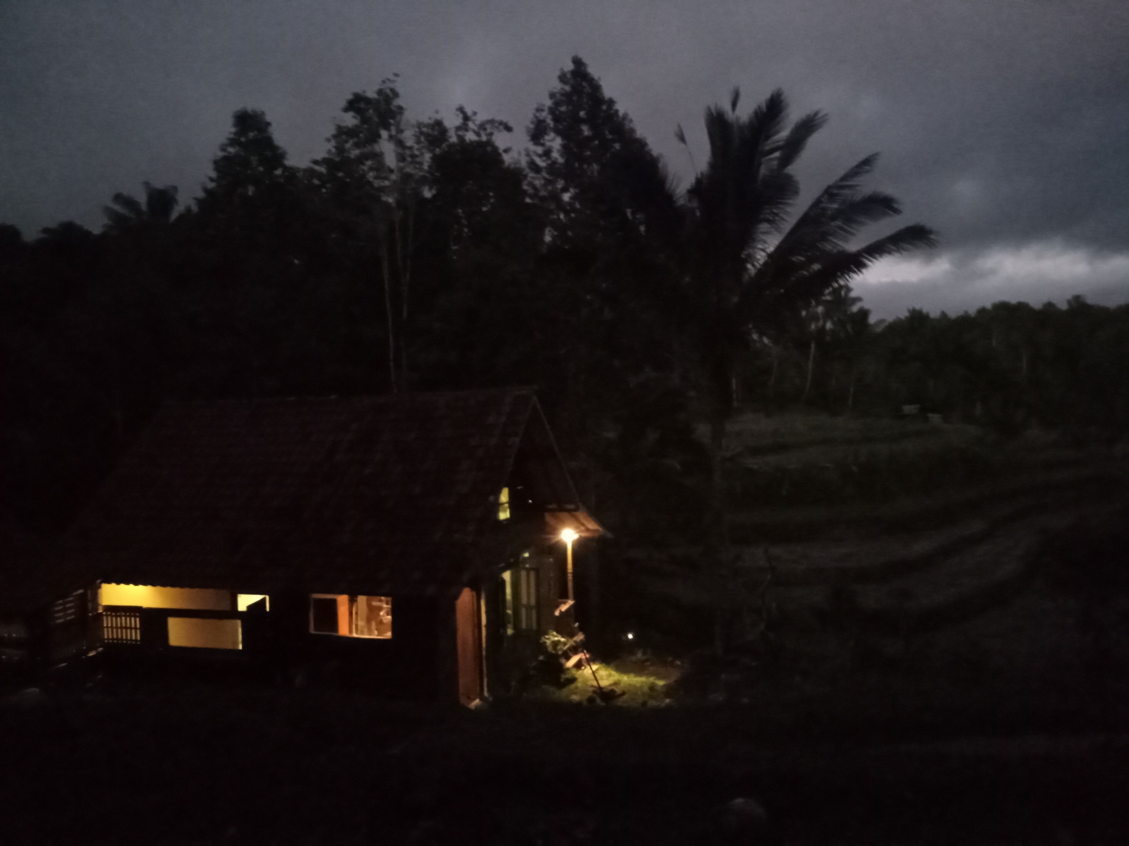 A small house with a sloped roof and a porch, surrounded by palm trees and a cloudy sky.