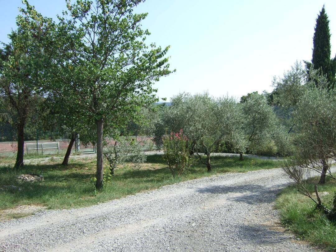 Un chemin de gravier dans un parc, avec des arbres et un banc.