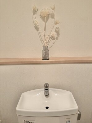 Secadora de cabello, toallas, jabón, papel de baño