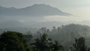 A mountainous landscape with dense forest and mist. - Lush Hills by Benchmark (Vythiri)